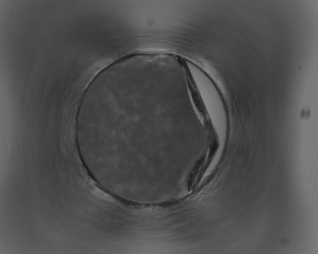 X0000092270385200710051344