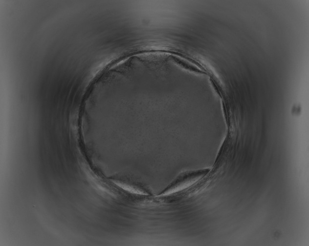 X0000092270386200710051344