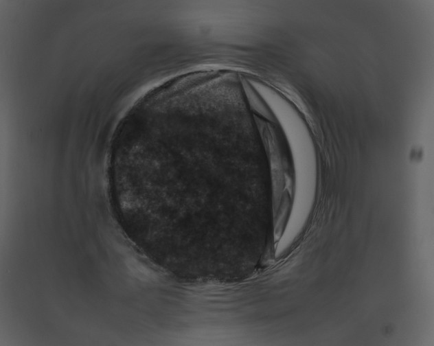 X0000092270387200710051344