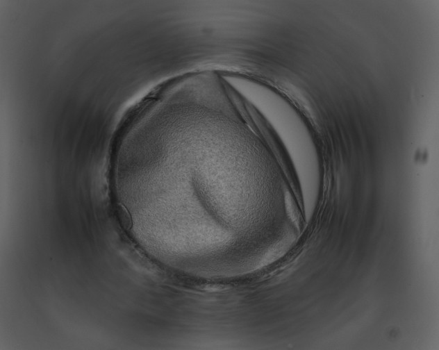 X0000092270388200710051344
