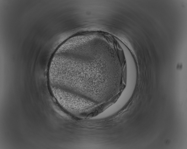 X0000092270389200710051344