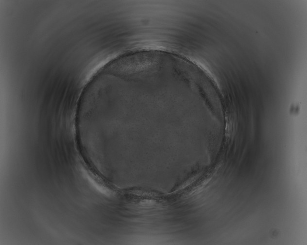 X0000092270390200710051344