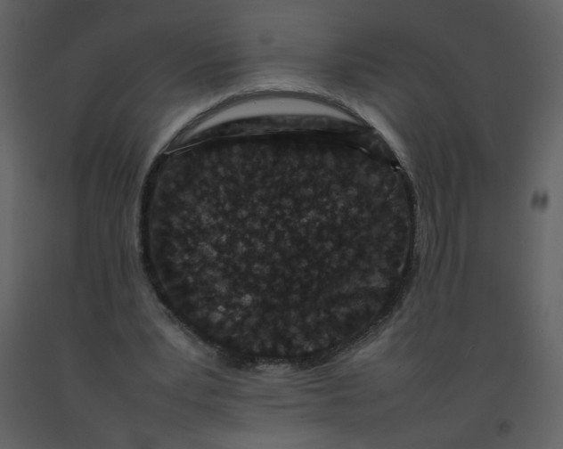 X0000092270391200710051344