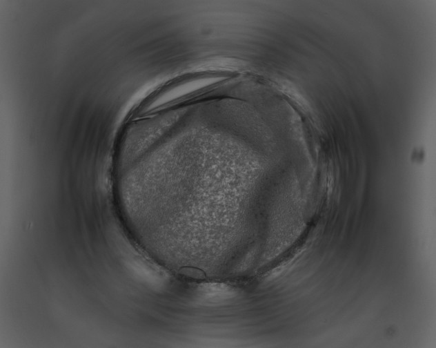 X0000092270392200710051344
