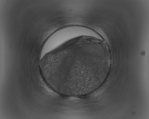 X0000092270393200710051344