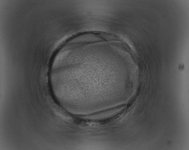 X0000092270395200710051344
