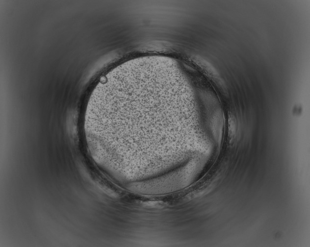 X0000092270396200710051344