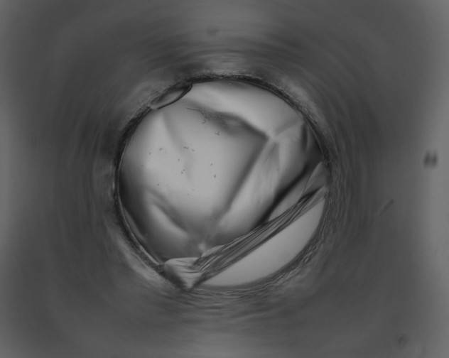 X0000092270397200710051344