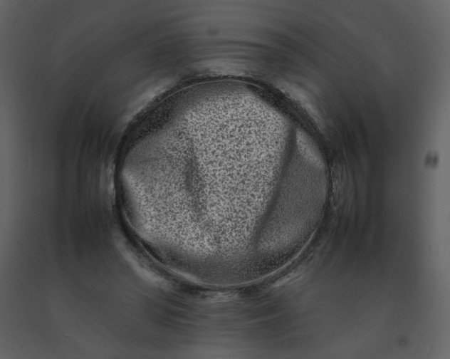 X0000092270398200710051344