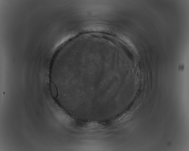 X0000092270399200710051344