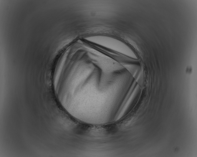 X0000092270403200710051344