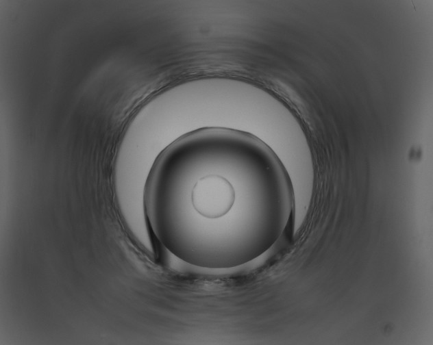 X0000092270405200710051344