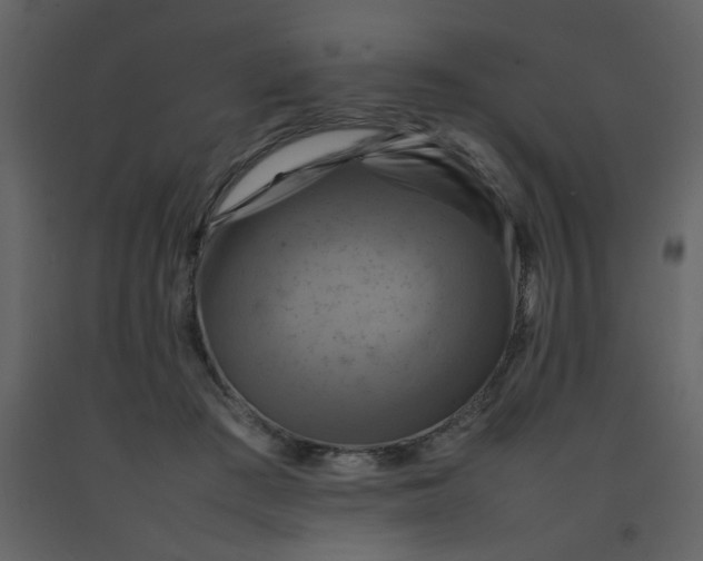 X0000092270409200710051344