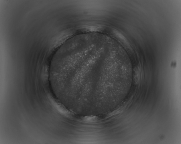 X0000092270410200710051343