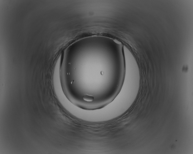 X0000092270411200710051343