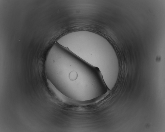 X0000092270412200710051343