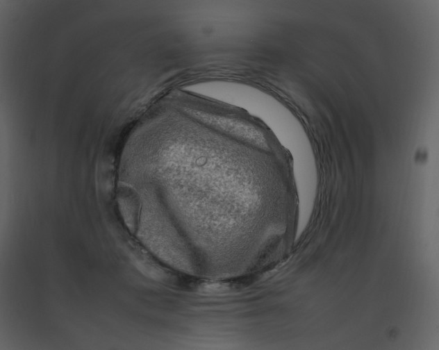 X0000092270413200710051343