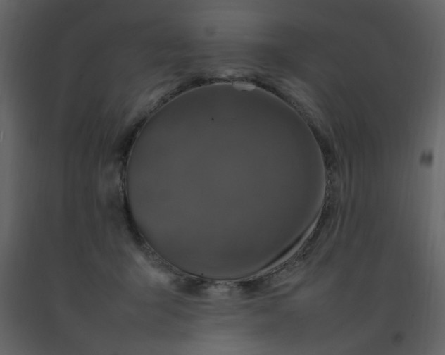 X0000092270415200710051343