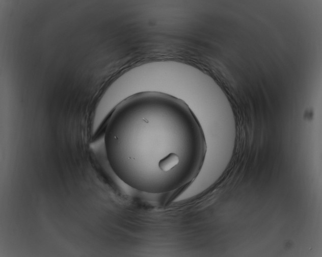 X0000092270416200710051343