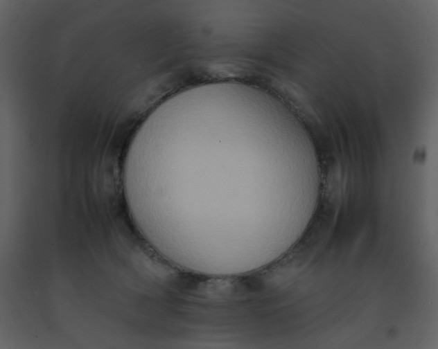 X0000092270418200710051343