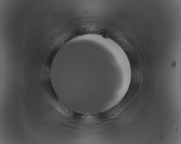 X0000092270419200710051343