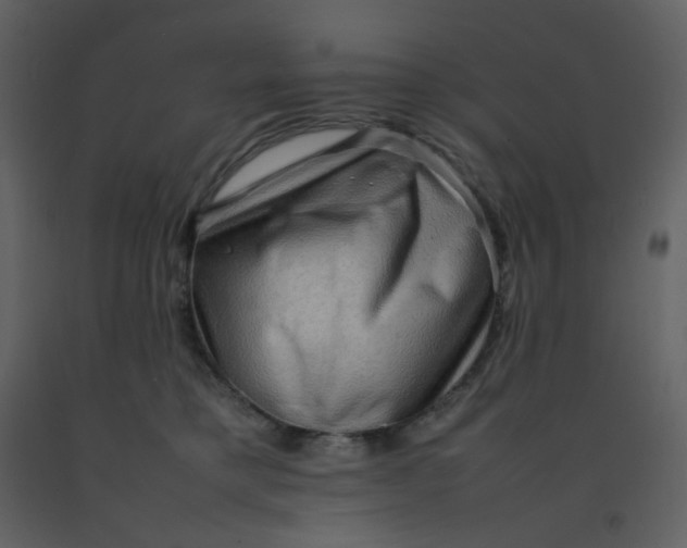 X0000092270421200710051343
