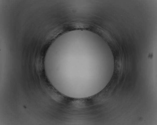 X0000092270422200710051343