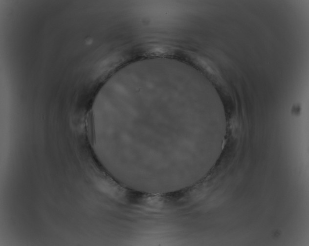 X0000092270423200710051343