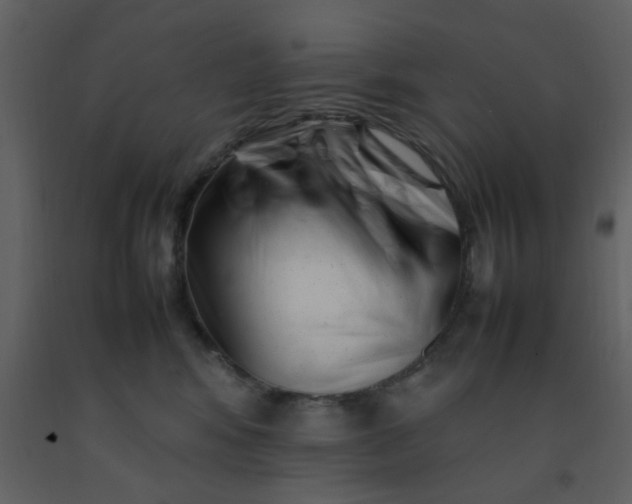 X0000092270424200710051343