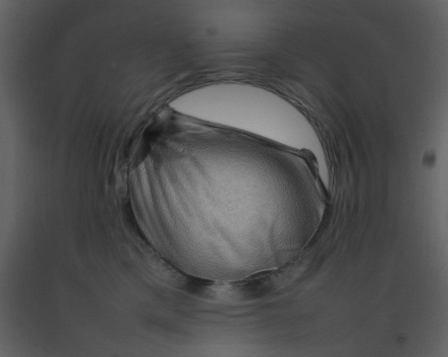 X0000092270425200710051343