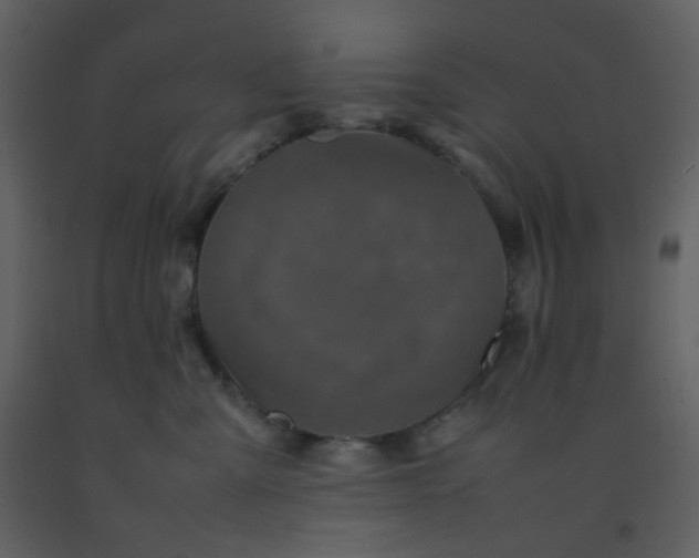 X0000092270427200710051343