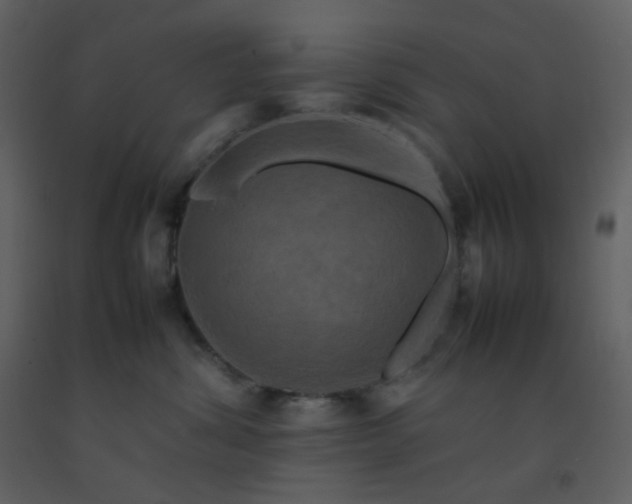 X0000092270428200710051343