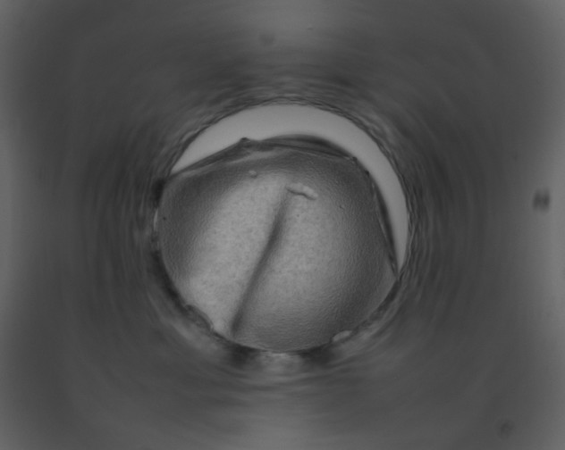 X0000092270429200710051343