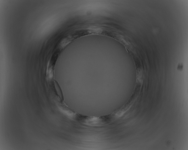 X0000092270431200710051343