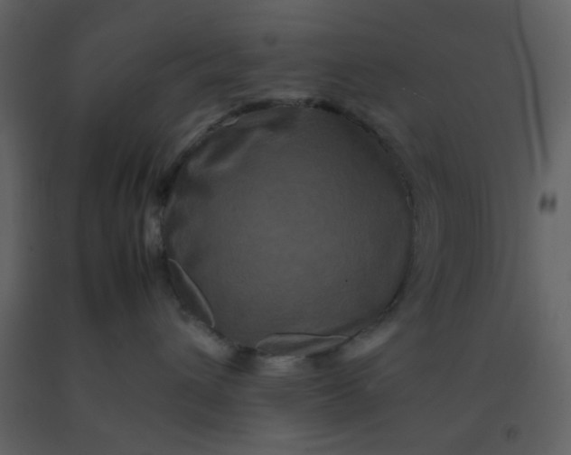 X0000092270432200710051343