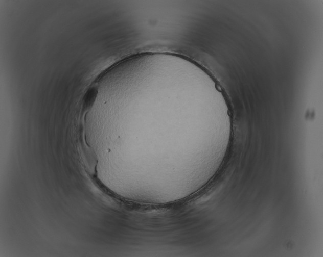 X0000092270433200710051343