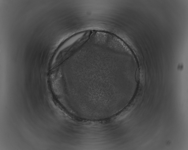 X0000092270434200710051343