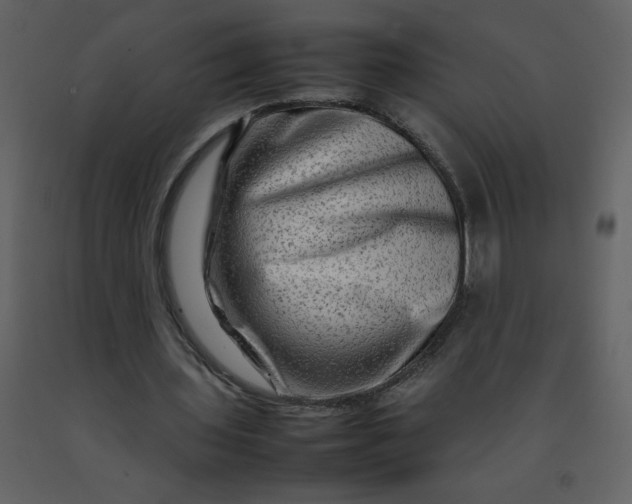 X0000092270435200710051343