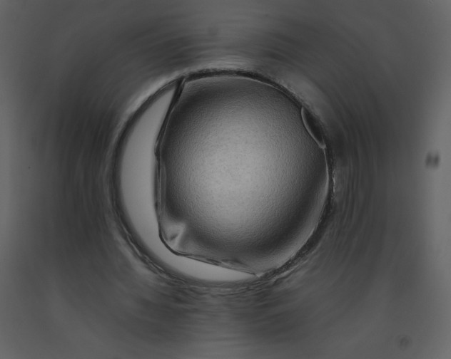 X0000092270436200710051343