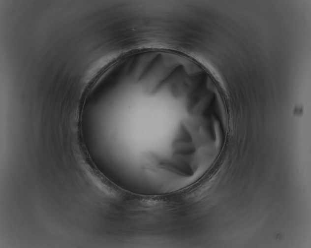 X0000092270437200710051343