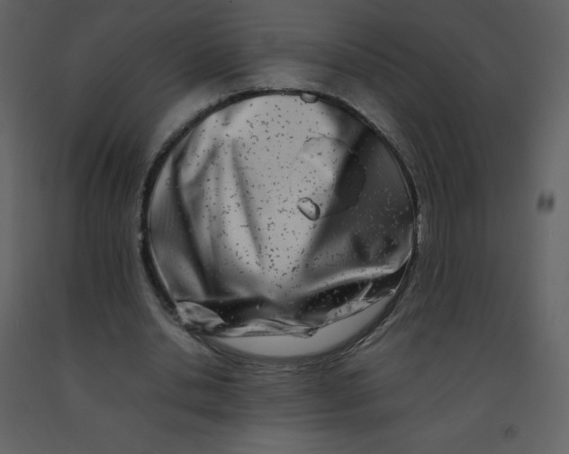 X0000092270438200710051343