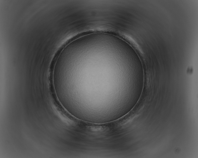 X0000092270439200710051343