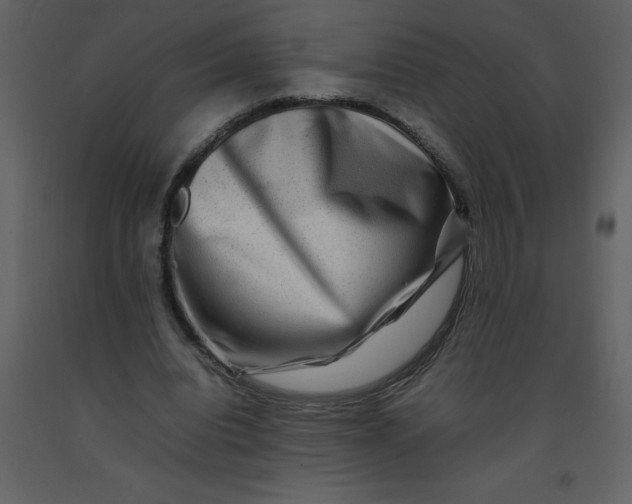 X0000092270440200710051343