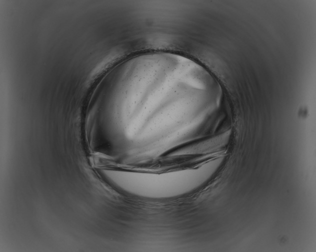 X0000092270442200710051343