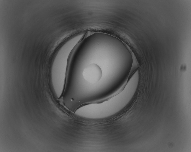 X0000092270444200710051343