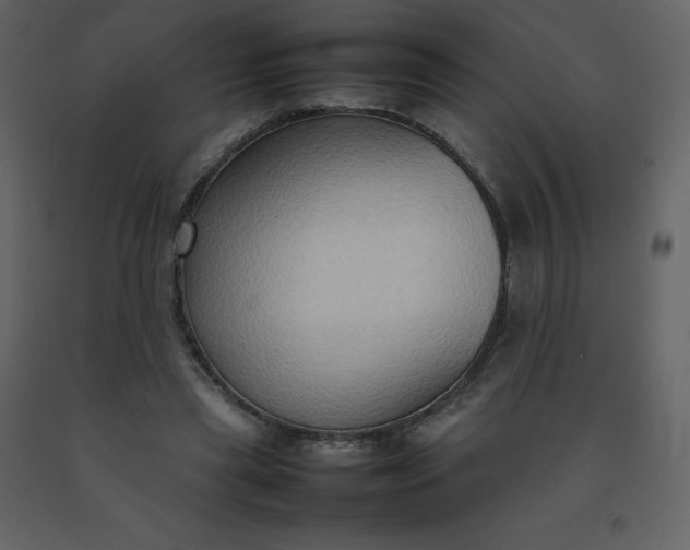 X0000092270445200710051343