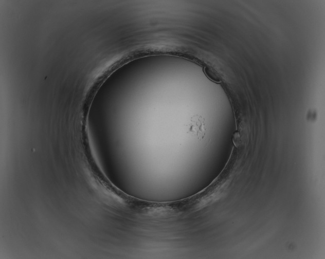 X0000092270446200710051343