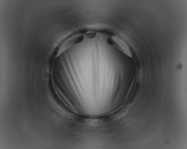 X0000092270448200710051343