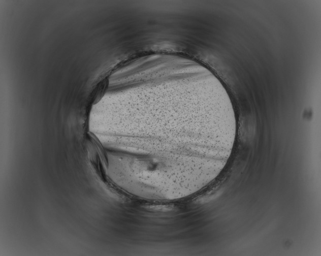 X0000092270449200710051343