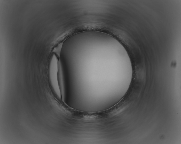 X0000092270450200710051343